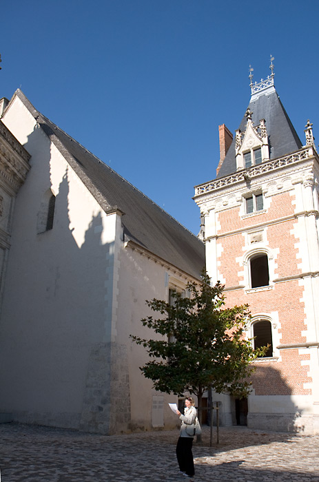 Gothic Château de Blois
