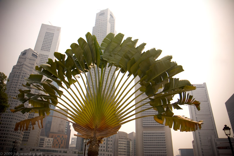 Haze, Singapore, Feb. 2009